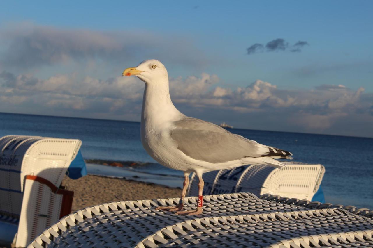 Ferienwohnungen Im Haus Strandburg Grömitz المظهر الخارجي الصورة